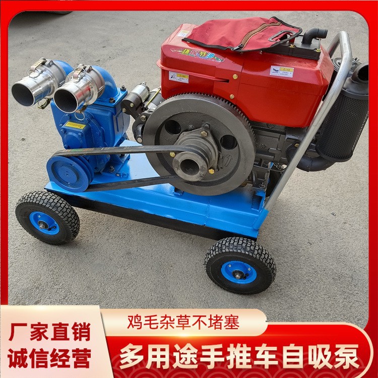 電動吸糞泵批發(fā) 齒輪抽糞泵 養(yǎng)殖場大功率抽糞吸糞泵 手推吸糞泵