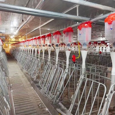 豬料線 喂豬自動(dòng)下料器豬用自動(dòng)料線 養(yǎng)豬自動(dòng)化供料系統(tǒng)設(shè)備