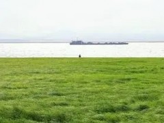 草坪播種機械有哪些類型？