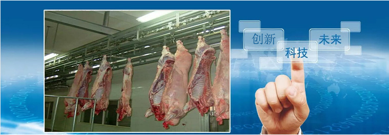 科技領(lǐng)先未來圖豬.jpg