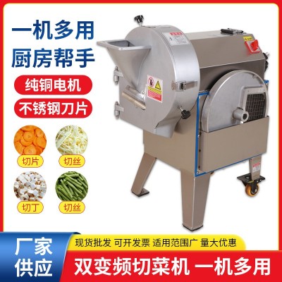 601型單頭多功能切菜機酒店食堂商用全自切丁切片切絲一體機廠家