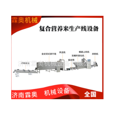 霖奧 RN70速食自熱米飯加工機(jī)器 人造復(fù)合營(yíng)養(yǎng)大米生產(chǎn)線