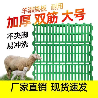60*60羊用漏糞板廠家批發(fā)羊床板豬羊漏糞板羊舍糞板 塑料羊糞板