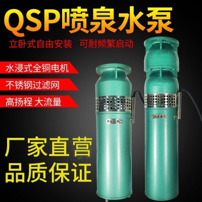 QSP鑄鐵噴泉泵不銹鋼小區(qū)景觀音樂(lè)噴泉潛水泵QSP噴泉專用潛水泵