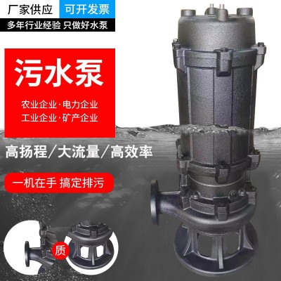 無堵塞潛水泵 污水泵大流量農(nóng)田灌溉市政排污水電廠污水污物處理