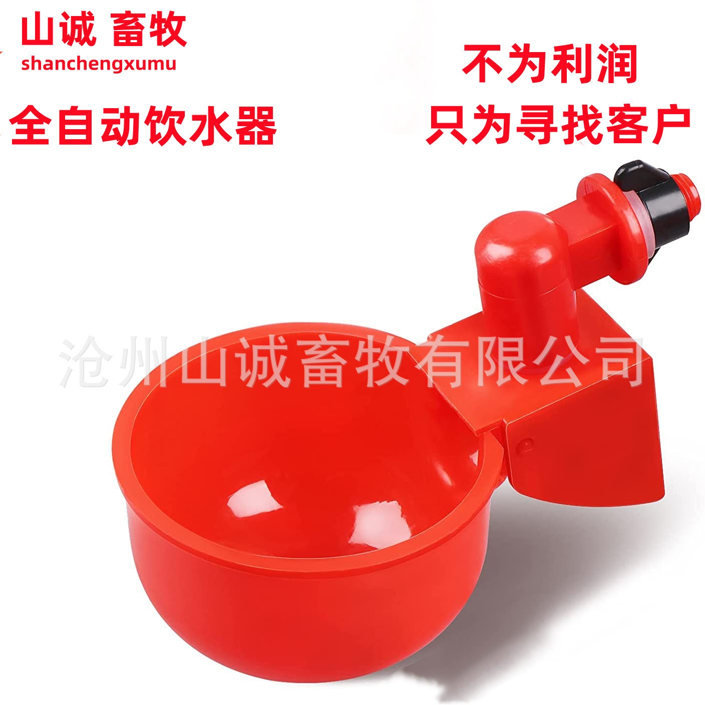 新型雞鴨鵝自動(dòng)飲水碗飲水器喂鴿子水碗鳥(niǎo)飲水器鵪鶉家禽養(yǎng)殖設(shè)備