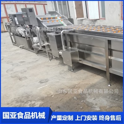 全自動小龍蝦氣泡清洗機 大姜清洗機 果蔬高壓噴淋凈菜設(shè)備