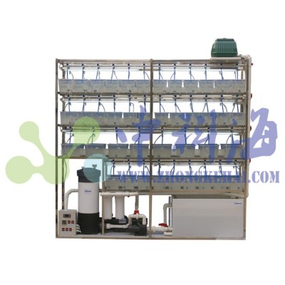 斑馬魚飼養(yǎng)系統(tǒng)，水生物實(shí)驗(yàn)系統(tǒng)