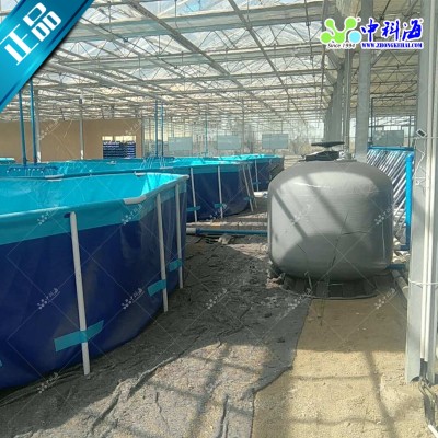 九節(jié)蝦南美白對(duì)蝦室內(nèi)養(yǎng)殖工廠化養(yǎng)殖循環(huán)水養(yǎng)殖