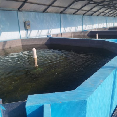 曝氣增氧系統(tǒng)水產(chǎn)養(yǎng)殖系統(tǒng)設備室內育苗養(yǎng)殖設備水產(chǎn)增氧曝氣