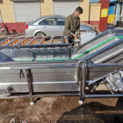 果蔬清洗機(jī)高壓水果蔬菜清洗機(jī) 冬棗辣椒高壓氣泡清洗機(jī) 洗菜機(jī)