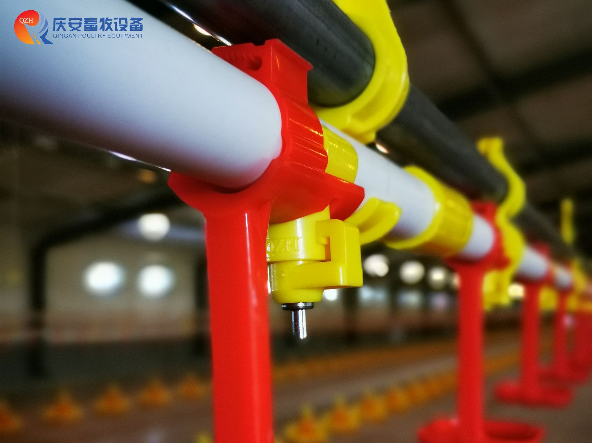 (第一行第二張)