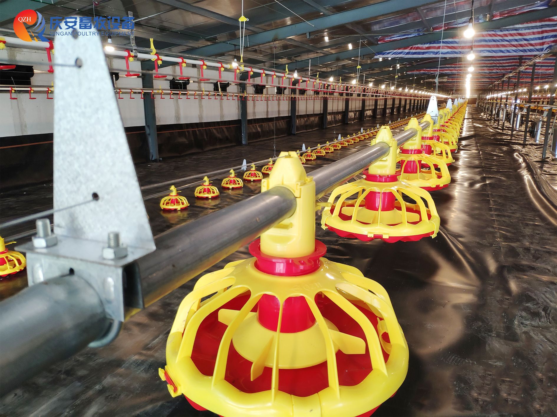 (第二行第二張)