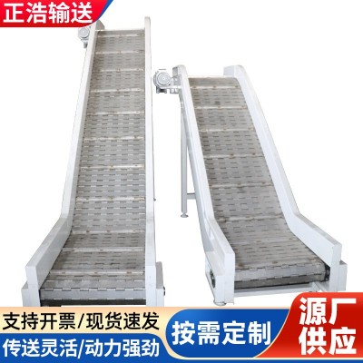 不銹鋼鏈板提升機(jī)中小型上料烘干提升爬坡輸送設(shè)備小型擋板輸送機(jī)