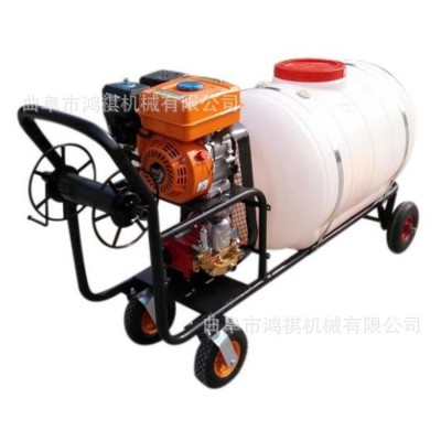 黃石 農藥高壓打藥機 手推式打藥機 農用小型推車噴霧機2