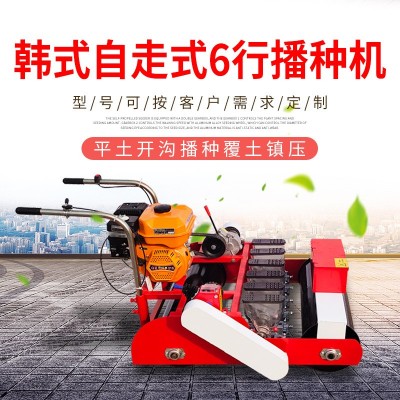 新型手推大棚蔬菜精量芹菜香菜韭菜菠菜油菜小蔥蘿卜單粒播種機(jī)
