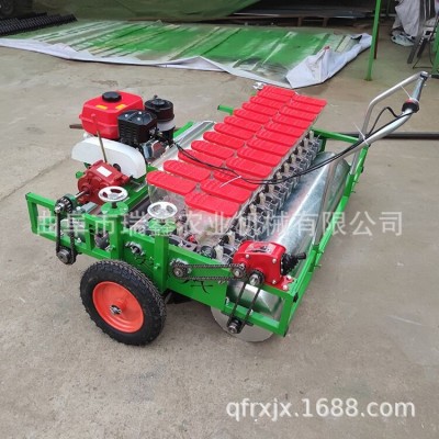 小油菜菜菠菜精播機(jī) 雪里紅蘿卜種植機(jī) 汽油分座款蔬菜精播機(jī)廠家