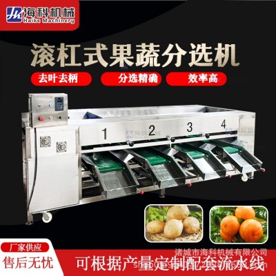 商用滾杠分級機(jī) 紅薯馬鈴薯小番茄水果分選機(jī) 馬蹄芒果檸檬選果機(jī)