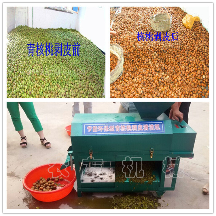 核桃機 小型 內(nèi)部結(jié)構(gòu)_副本