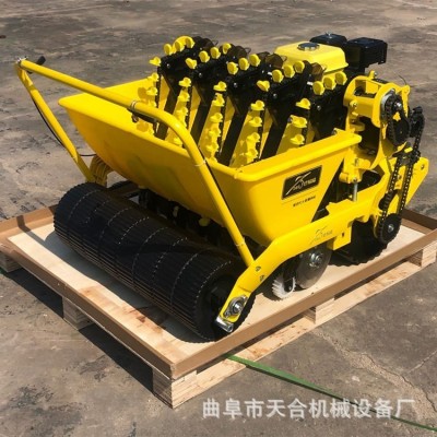 操作簡便 手推汽油大蒜行播種機 零故障質(zhì)量可靠 德意播國貨精品