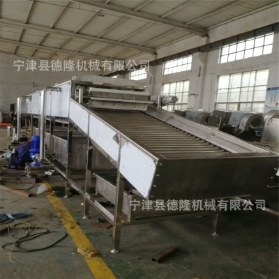 網(wǎng)鏈風(fēng)冷風(fēng)涼輸送線玉米噴淋清洗設(shè)備德隆非標定制
