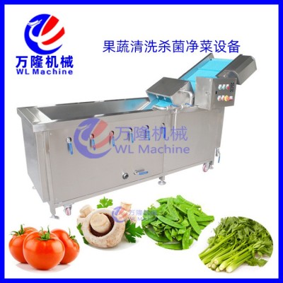 新款花椰菜果蔬清洗機(jī)海帶活性氧消毒清洗機(jī)玉米鮮菇青菜清洗機(jī)器