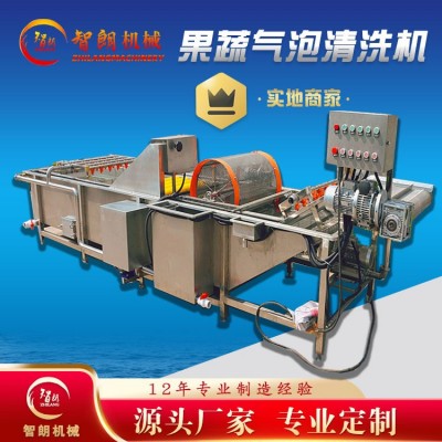 果蔬氣泡清洗機(jī) 全自動連續(xù)式清洗設(shè)備 去雜汽泡清洗機(jī)廠家