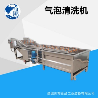 蔬菜清洗機(jī)葉類菜全自動(dòng)氣泡流水像草莓生姜清洗設(shè)備