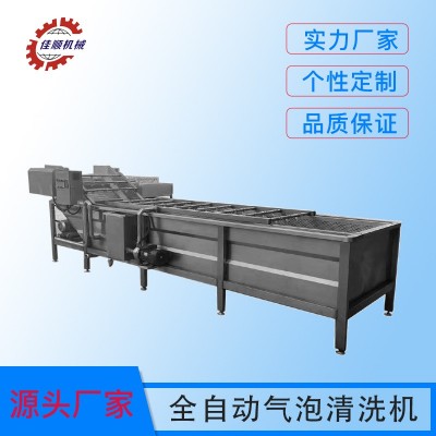 油菜去泥氣泡清洗機 白菜連續(xù)式洗菜機 海鮮小龍蝦超聲波清洗設備