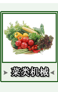 笙輝批發(fā) 汽泡清洗機(jī)洗果機(jī)大棗果蔬清洗機(jī) 供貨商