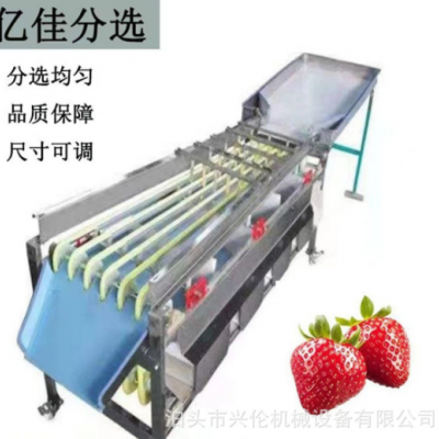 檳郎分級(jí)機(jī)冬棗篩選機(jī)橄欖分揀機(jī)山楂篩果機(jī)獼猴桃分選機(jī)