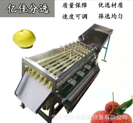 無(wú)花果分揀機(jī) 臍橙選果機(jī) 不銹鋼材質(zhì)斜板出料果蔬分選設(shè)備