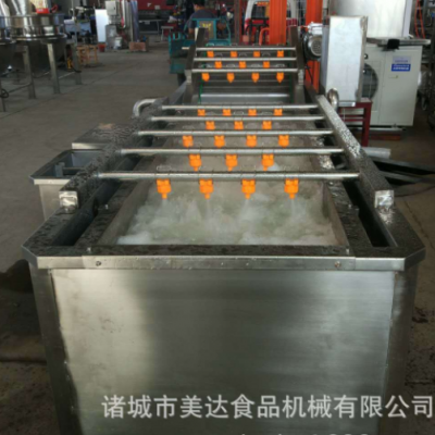 商用食品蓮藕果蔬氣泡清洗機 全自動氣泡噴淋紅薯清洗設(shè)備