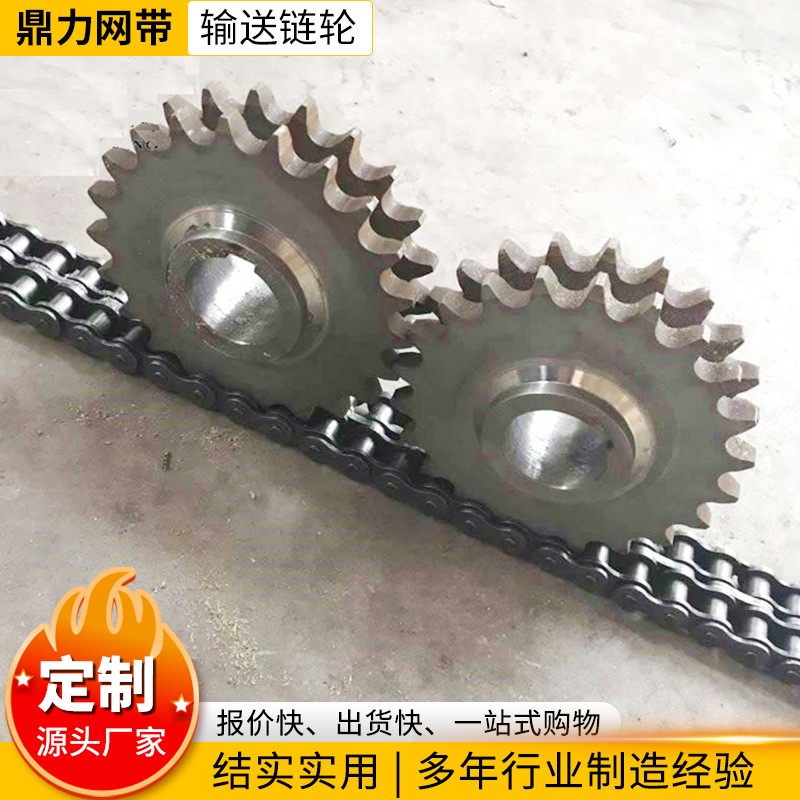 大節(jié)距輸送鏈條鏈輪 單雙排機械配件工業(yè)鏈條不銹鋼鏈輪工業(yè)齒輪