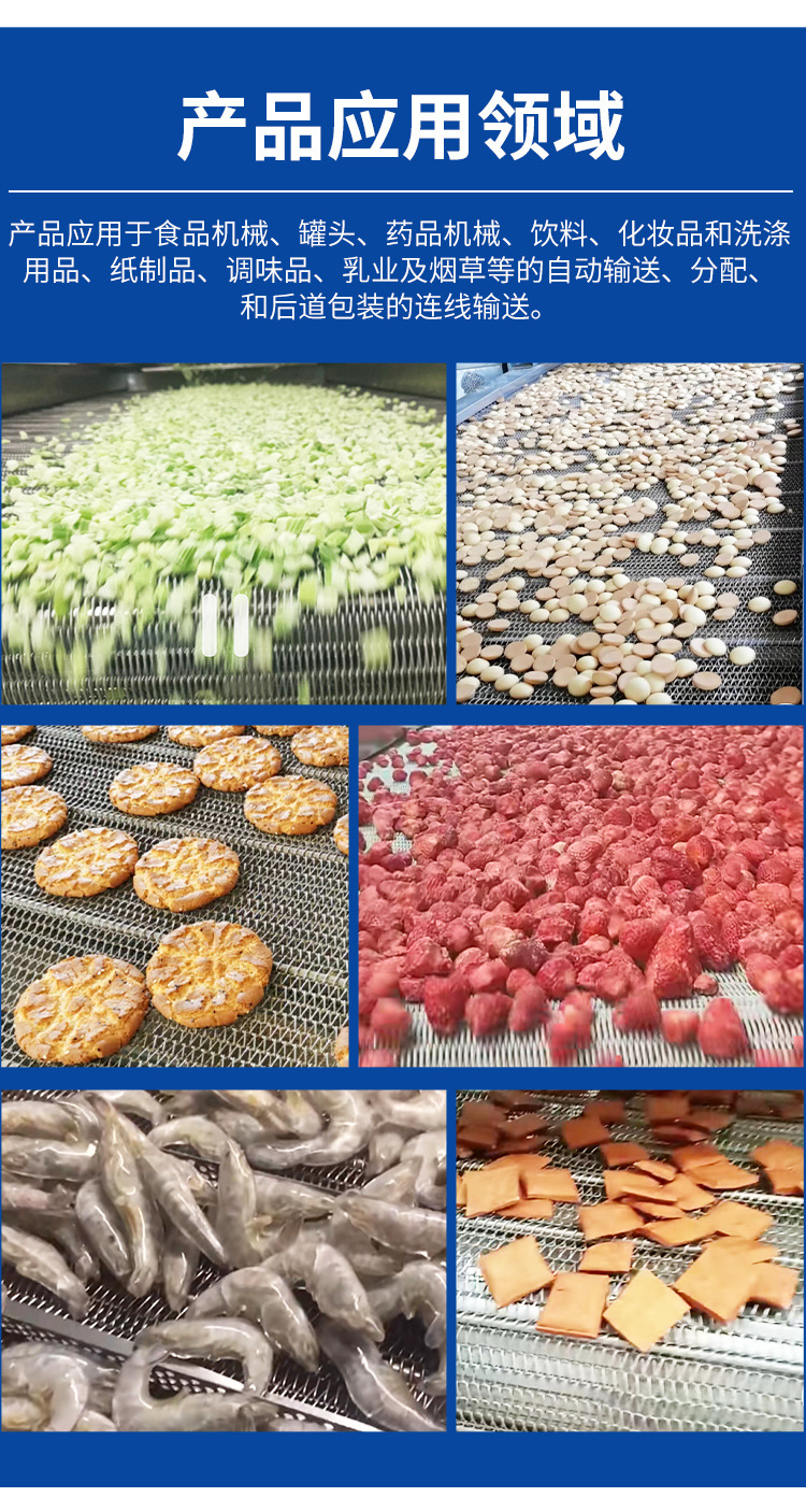 輸送網(wǎng)帶_07.jpg