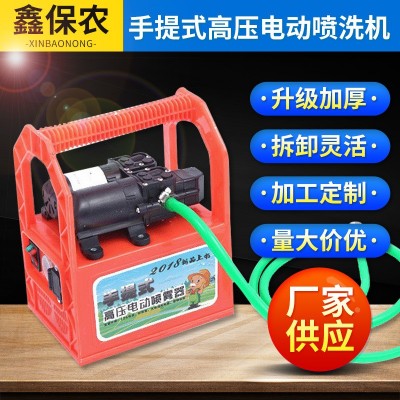 手提式高壓電動(dòng)噴洗機(jī) 雙泵打藥機(jī) 園林智能大功率手提農(nóng)用噴霧器