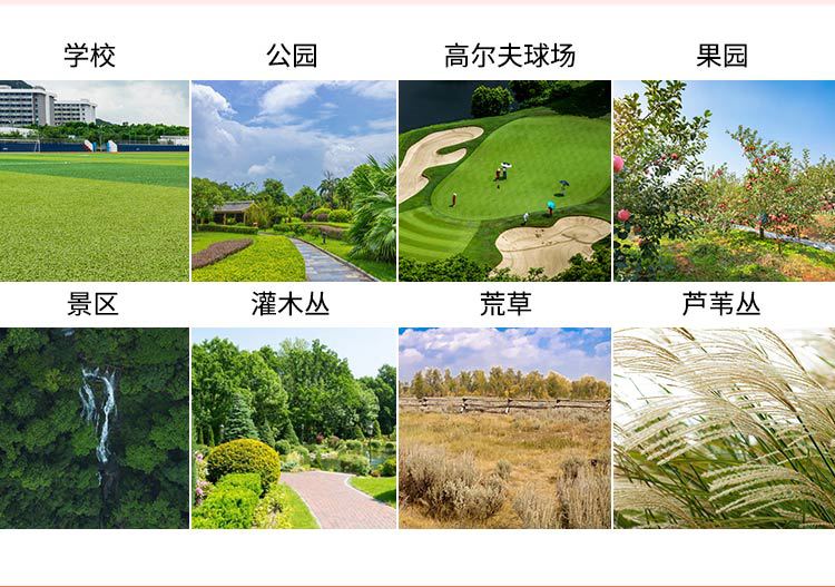 駕駛式草坪機(jī)_05