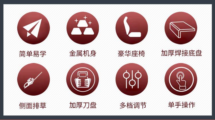 駕駛式草坪機_02