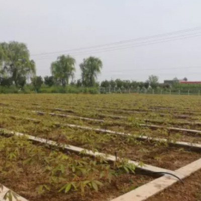 陜西微噴帶廠家_陜西微噴帶銷售_公司_選擇楊凌潤沃***