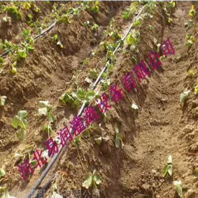 山西按需定制***微灌管，水肥一體化滴灌管