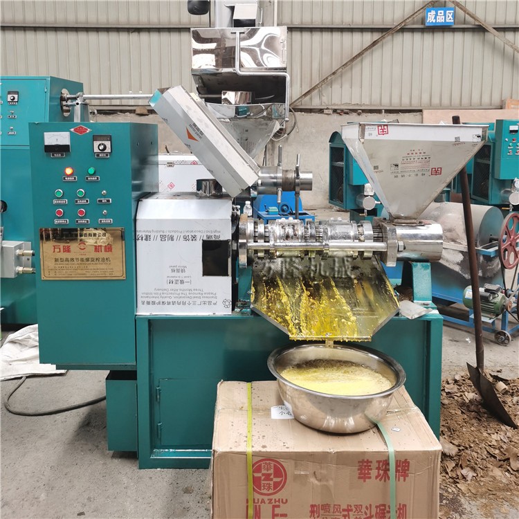 紫蘇子榨油設(shè)備榨花生菜籽油葵瓜子芝麻油機器高出油率