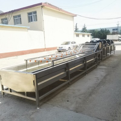 海帶絲清洗機(jī) 不銹鋼全自動(dòng)清洗設(shè)備 氣泡清洗機(jī)廠家