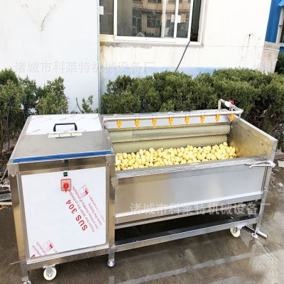 自動清洗去泥機 毛輥去皮機 毛刷清洗機 根莖類清洗加工設(shè)備型號
