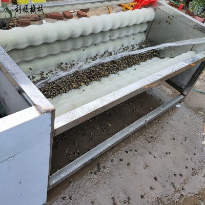 新 全自動(dòng)清洗機(jī) 洗花生毛輥機(jī)器 不銹鋼栗子毛輥清洗機(jī)型號(hào)全