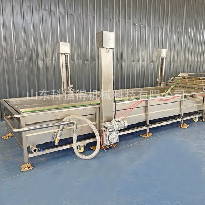 瓶蓋子清洗流水線 噴淋式中藥材氣泡清洗機(jī) 葉菜類清洗流水線