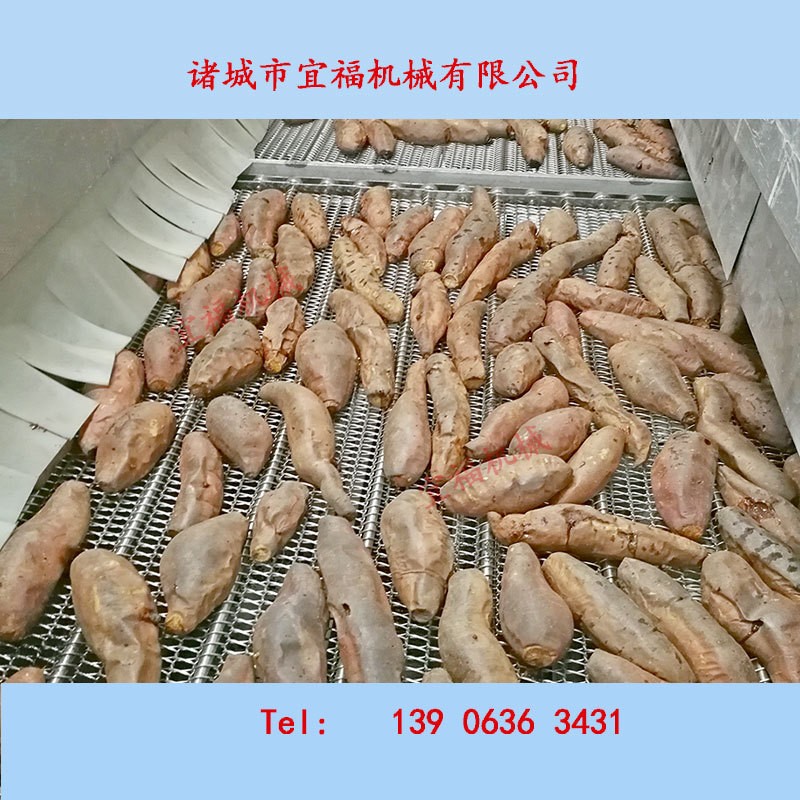 諸城紅薯清洗機(jī),烤地瓜清洗流水線,宜福不破皮紅薯清洗烘烤機(jī)廠家