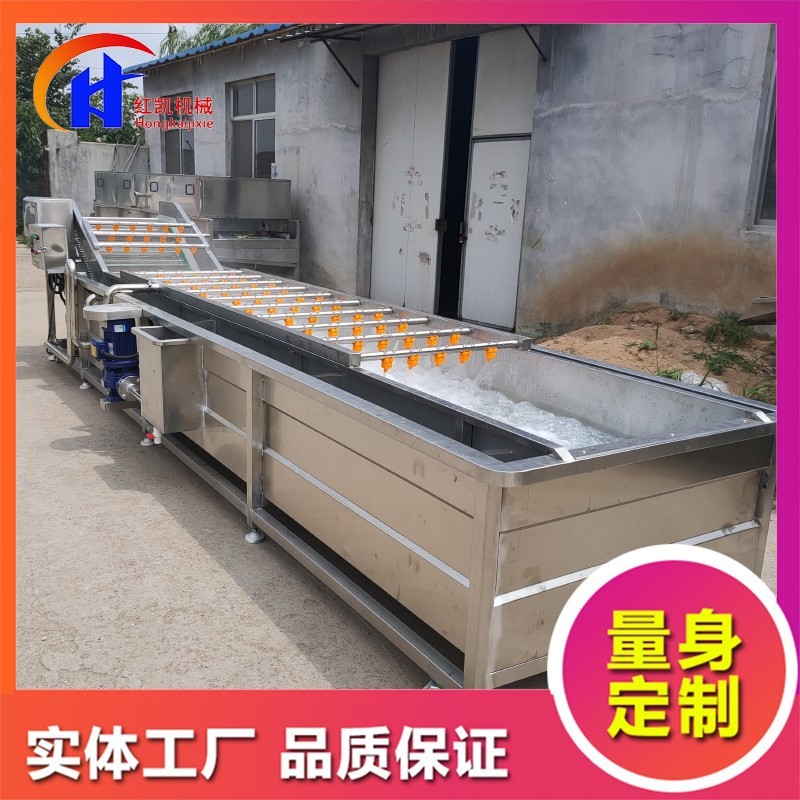 供應(yīng)鼓泡式清洗設(shè)備 蒜米漂皮清洗機(jī) 全自動(dòng)桃子噴淋式清洗機(jī)
