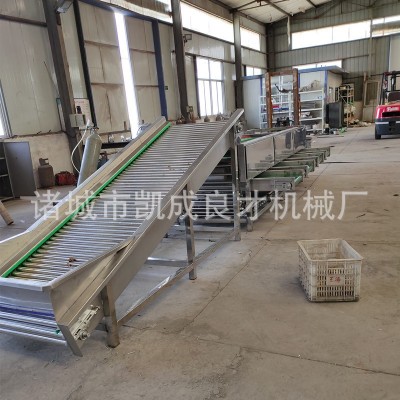 滾杠式選果機 良才牌地黃分級機 白芍分級機 果蔬加工設(shè)備