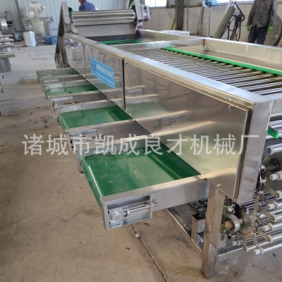 滾杠式櫻桃車?yán)遄悠咸汛髼椇颂曳诌x機 廠家直銷