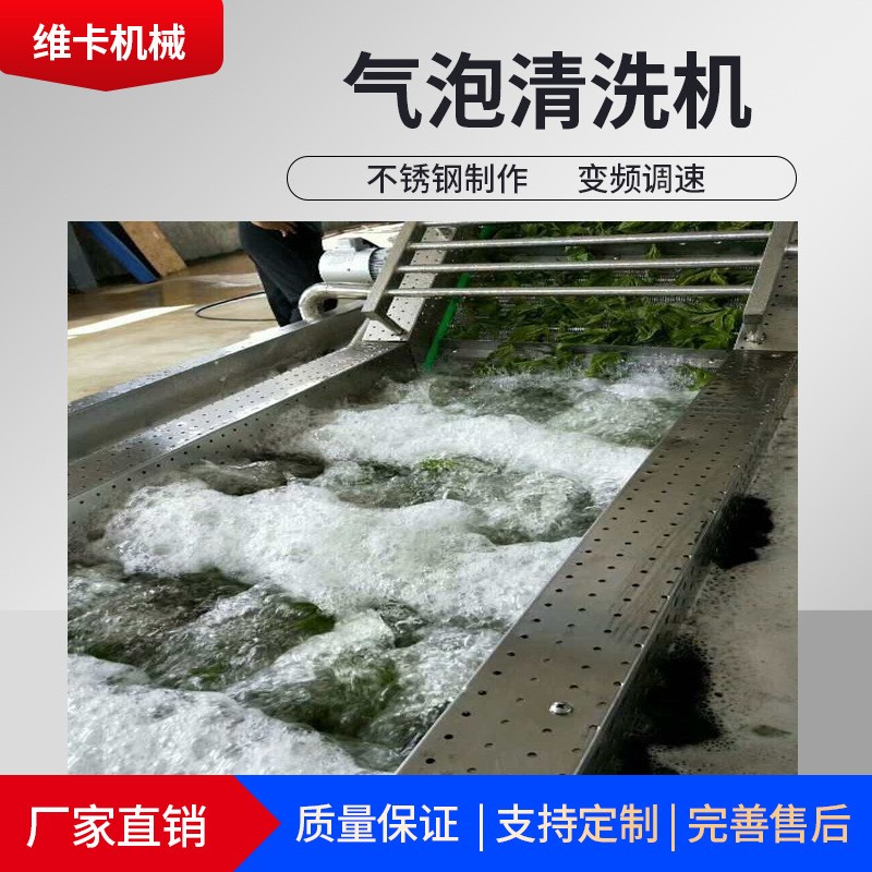 定制波浪式氣泡清洗機(jī) 快速蘋果清洗設(shè)備 廠家變頻氣泡清洗機(jī)